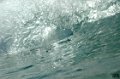 Anglet 29-11-2010